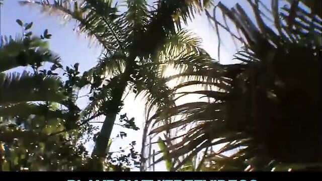 Тропический остров, полный красивых женщин - отпуск мечты