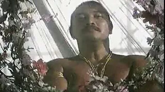 Арабскую принцессу трахают.