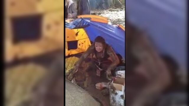 Болотный осел