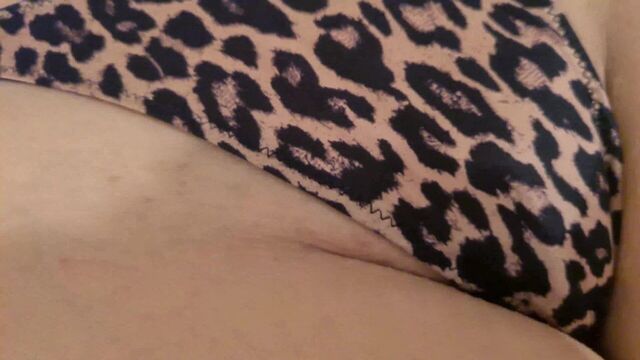 Тигровые трусики 4k 60fps