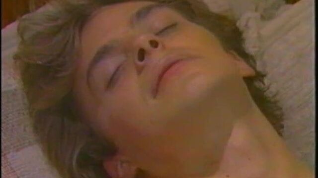 Ginger Lynn и компания