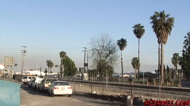 Эксгибиционистка Goldie Coxx бродит по улицам обнаженной