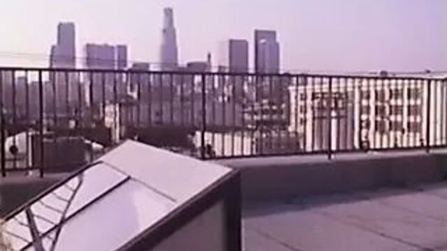 Shannon Tweed - последний звонок